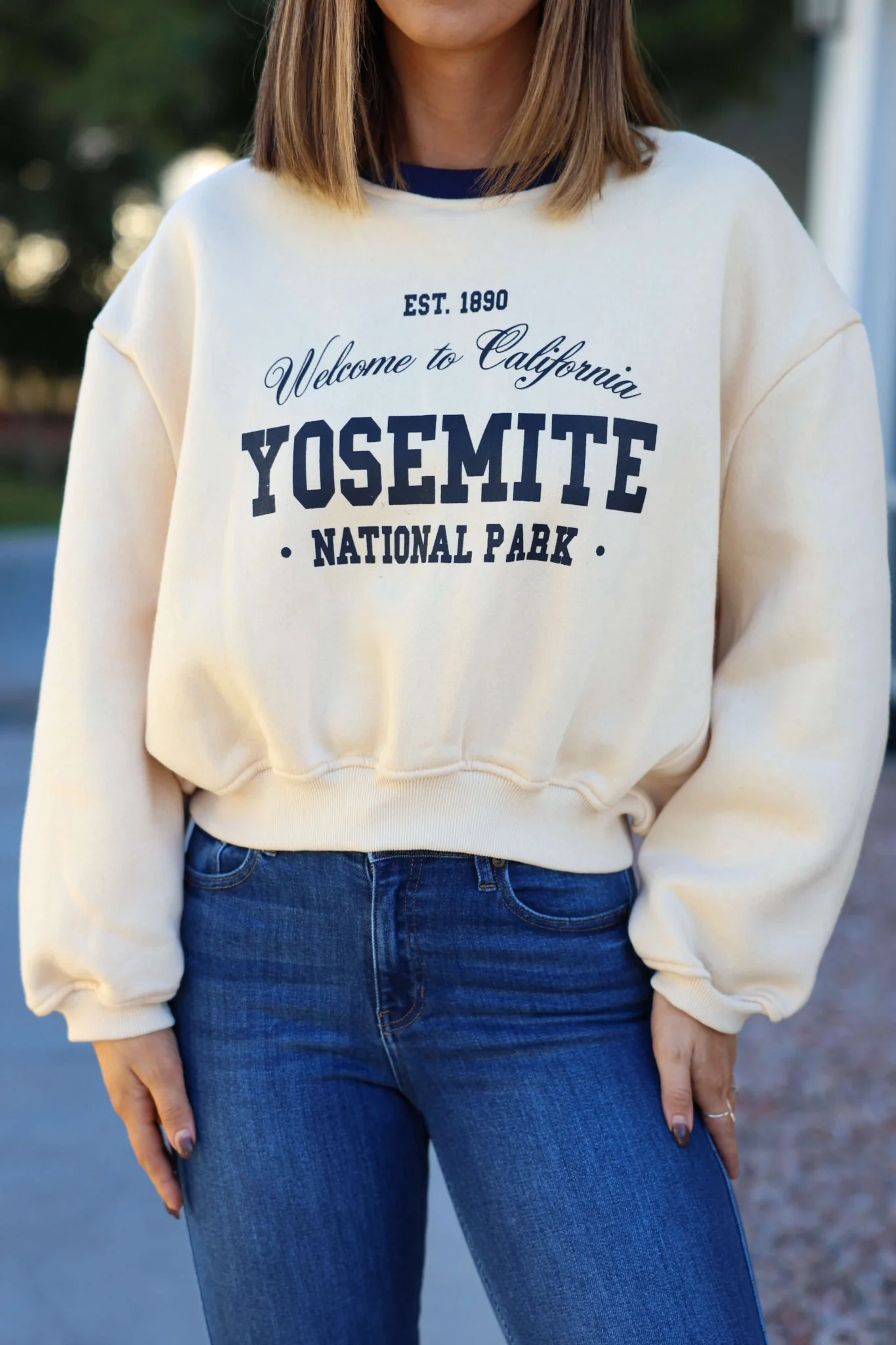 Cream Yosemite Graphic Crewneck Pullover - FINAL SALE - Image 3