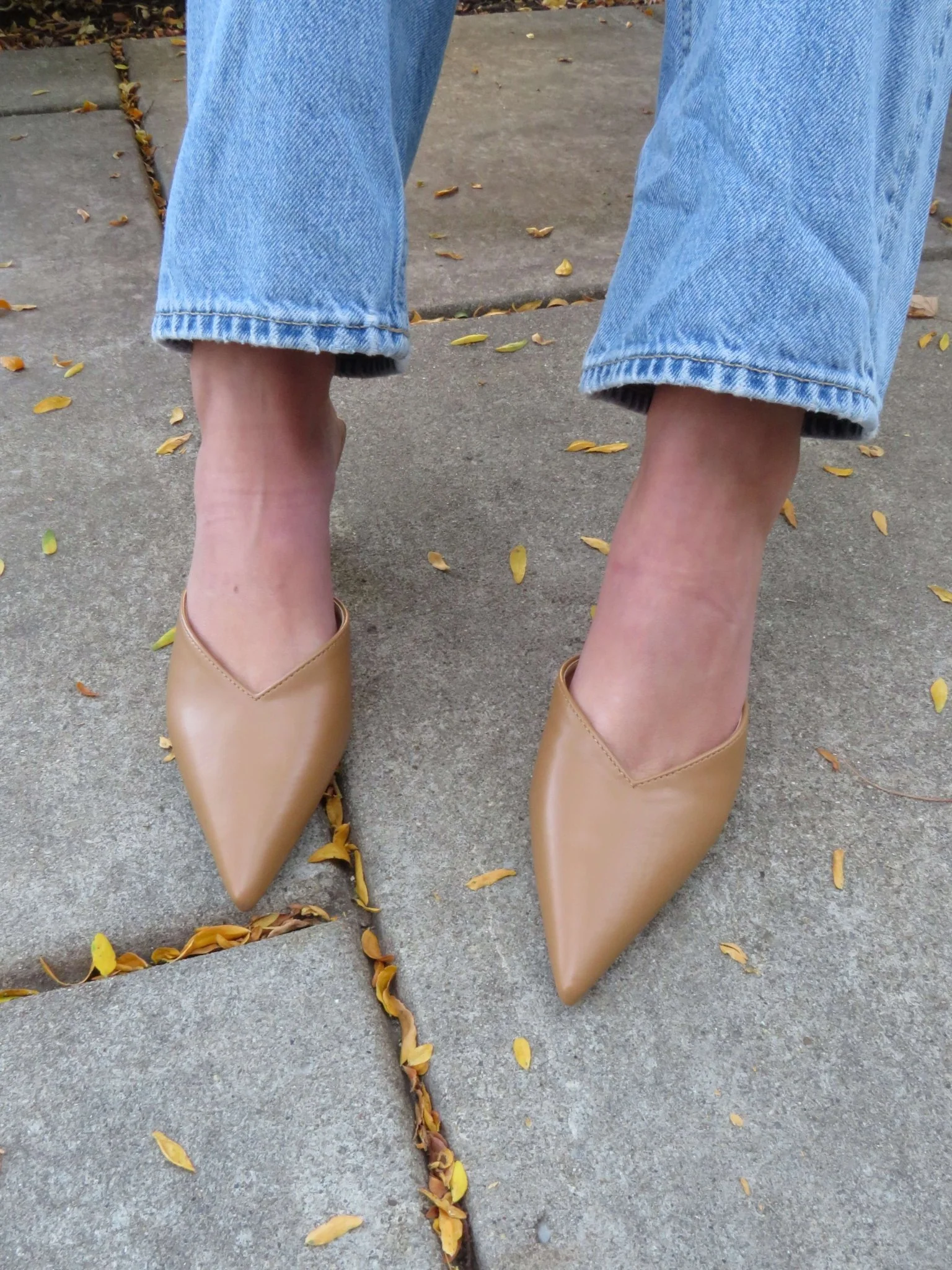 Morley Camel Open Back Kitten Heels - FINAL SALE - Image 4
